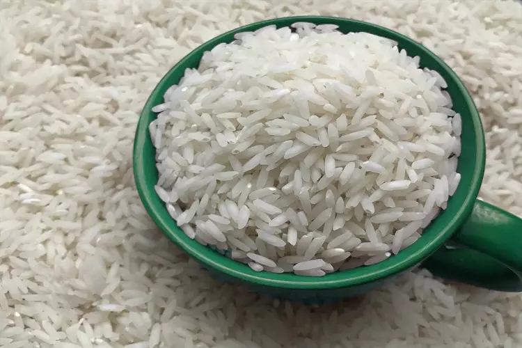 خرید و فروش برنج طارم فجر شمال اعلا با شرایط فوق العاده